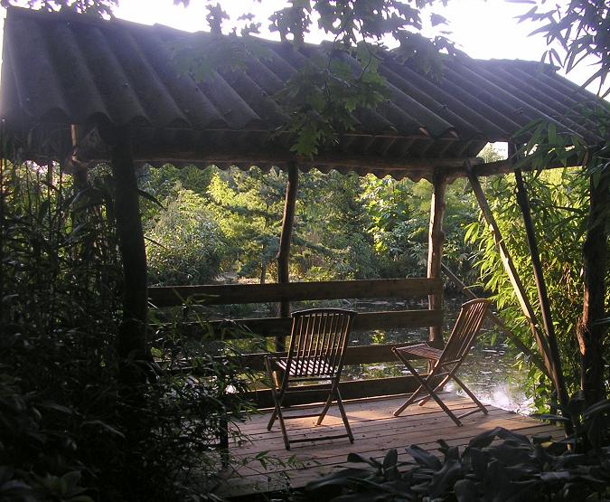 Vijverhuisje vanwaaruit talloze goudwindes en waterschildpadden zijn te bewonderen.