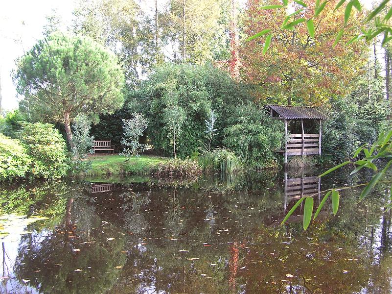De grote vijver, met linksachter een Pinus pinea (parasolden) met daarnaast jonge eucalyptussen en Bashania fargesii (bergbamboe).